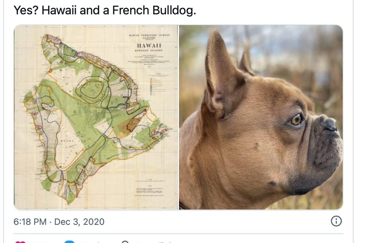 Cartopareidolia: Seeing People and Animals in Maps